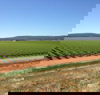 Melange Wines - Restaurants Sydney