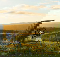 The Lane Vineyard - Restaurants Sydney