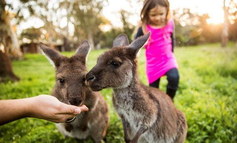 Woodstock Coterie Estate - Restaurants Sydney 16