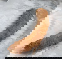 Blue Ocean - Restaurants Sydney