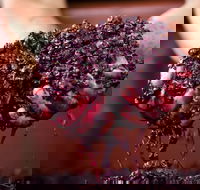 Punt Road Winery - Restaurants Sydney