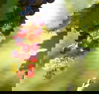 Raleigh Winery - Restaurants Sydney