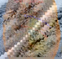 Roasts Spuds - Restaurants Sydney