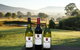 Rusty Fig Wines - thumb 0