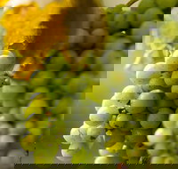 Affleck Vineyard - Restaurants Sydney