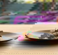 Bellottis Italian Dining - Cascades Motor Inn - Restaurants Sydney