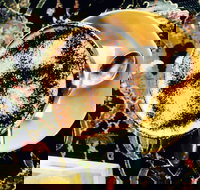 Cafe 3847 - Restaurants Sydney