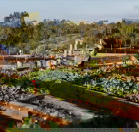 Homage - Restaurants Sydney