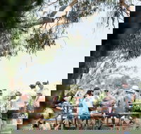St Leonards Vineyard Caf - Restaurants Sydney