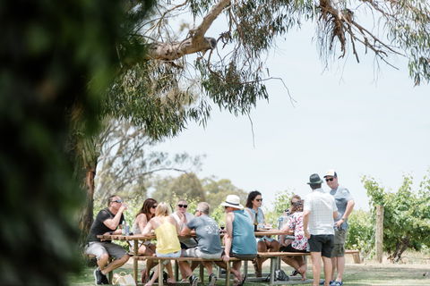 St Leonards Vineyard Café - Restaurants Sydney 0