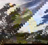 Banca Ridge Cellar Door and Vineyard - Restaurants Sydney