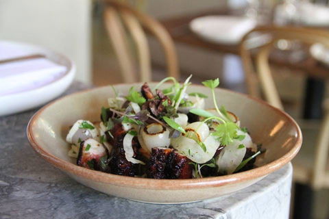 The Apollo - Restaurants Sydney 0