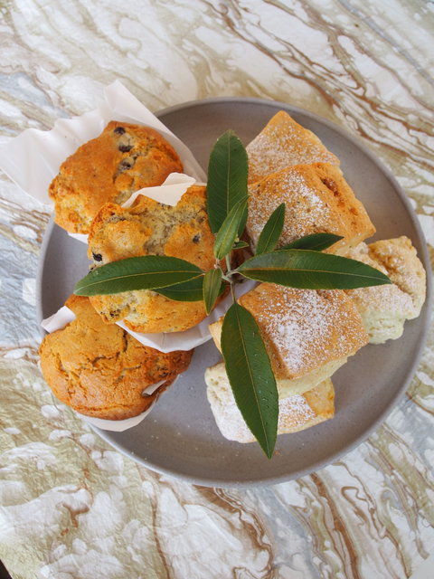 Paperbark Cafe At Kuranga Native Nursery - Restaurants Sydney 1