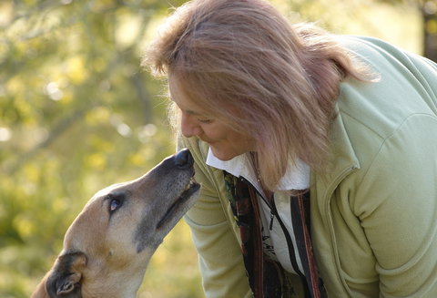Levrier Wines By Jo Irvine - Restaurants Sydney 0
