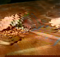 Aura - Restaurants Sydney