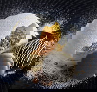 The Roundabout Restaurant - Restaurants Sydney