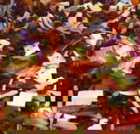 Flamin' Chix - Restaurants Sydney