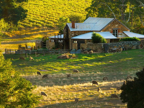 Hutton Vale Farm - Restaurants Sydney 1