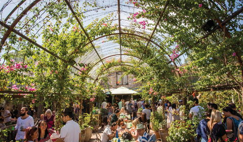 The Grounds Of Alexandria - Restaurants Sydney 2