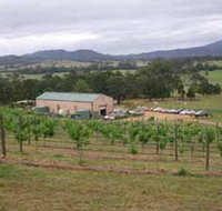 Villa d Esta Vineyard - Restaurants Sydney