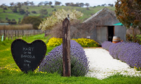 Hart Of The Barossa - Restaurants Sydney 0