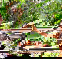 Jaques Coffee Plantation - Restaurants Sydney