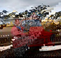 The Shiraz Republic - Restaurants Sydney