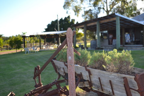 Ugly Duckling Wines - Restaurants Sydney 0