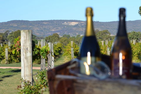 Ugly Duckling Wines - Restaurants Sydney 1