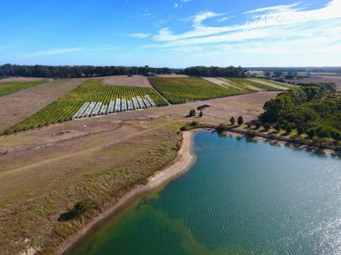 Victory Point Wines - Restaurants Sydney 1