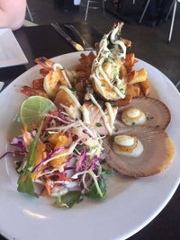 Fish on Parkyn