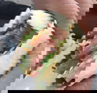 Onshore Cafe - Restaurants Sydney