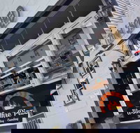 Salud  The Lithgow Tin Shed - Restaurants Sydney