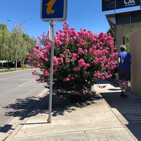 Alpine Gate Cafe - Restaurants Sydney 0