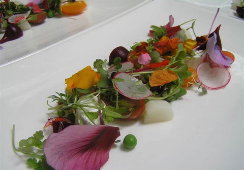 Bluebush Cafe - Restaurants Sydney 13