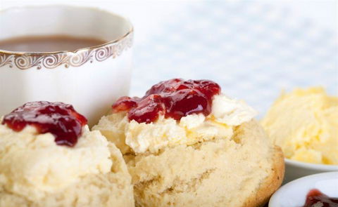 Bluebush Cafe - Restaurants Sydney 19