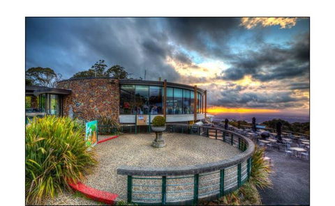 Bluebush Cafe - Restaurants Sydney 32