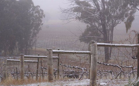 Tia To - Restaurants Sydney 0