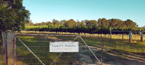 Tia To - Restaurants Sydney 3