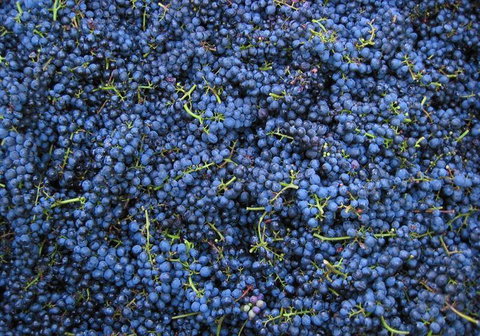 Tia To - Restaurants Sydney 6