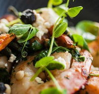 Lure - Restaurants Sydney