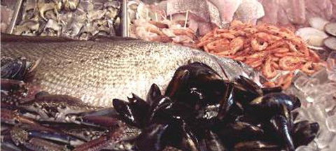 Lifeboat Seafood - Restaurants Sydney 1