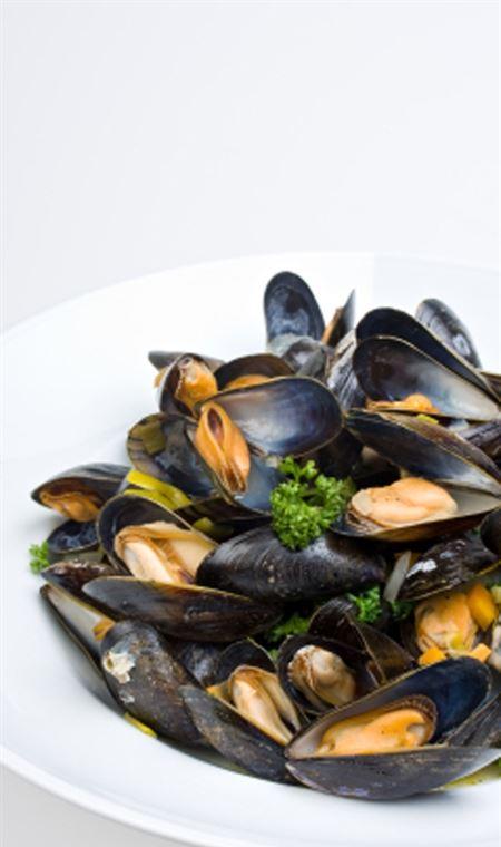 Lifeboat Seafood - Restaurants Sydney 4