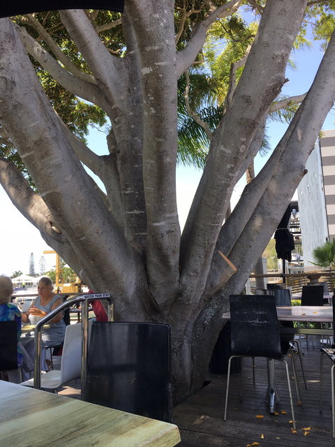 Cafe La Mer - Restaurants Sydney 6