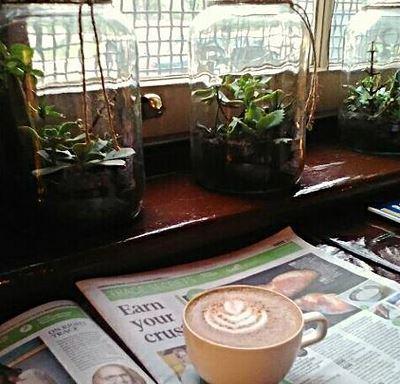 Cafe Invigor8 - Restaurants Sydney 7