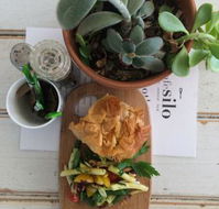 Cafe Silo - Restaurants Sydney