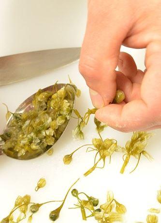 Wild Harvest Restaurant King Island - Restaurants Sydney 1