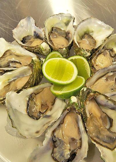 Wild Harvest Restaurant King Island - Restaurants Sydney 6