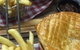 Grill Republic - thumb 4