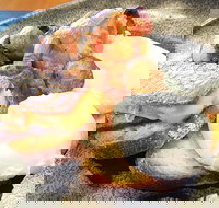 The Peak - Restaurants Sydney